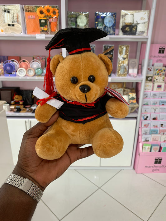 Graduation Teddy bear