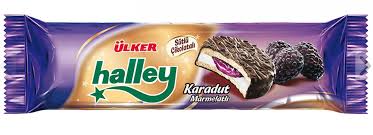 Halley Blackberry biscuits